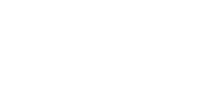 Logo Nagare coaching en blanc